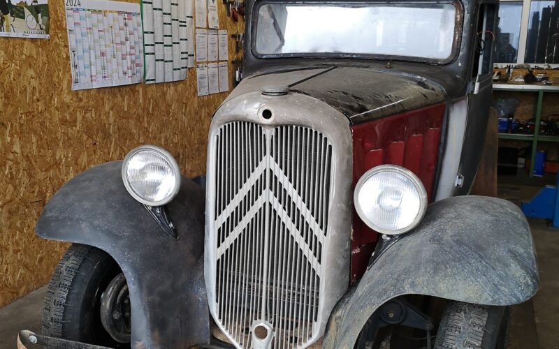 Blechkäfer Hilpert –